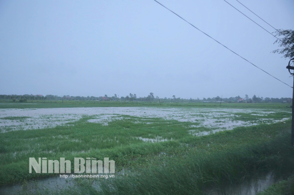 bao wipha dang di chuyen huong ve viet nam quang ninh ra lenh ung pho khan cap 687ac496a6462