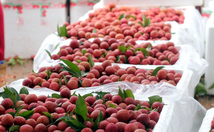 ocop quang ninh mo rong chuoi gia tri huong toi xuat khau 688a9696a4b40
