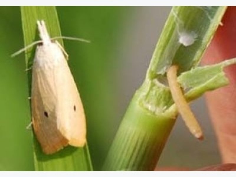 Nỗi Đau Mất Mát: Tìm Thấy Thi Thể Cháu Bé 9 Tuổi Tại Bãi Biển Hạ Long