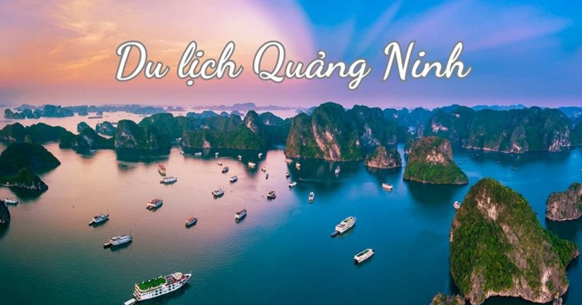 tam dung cap phep tau du lich tai vinh ha long de dam bao an toan 687d67962a961