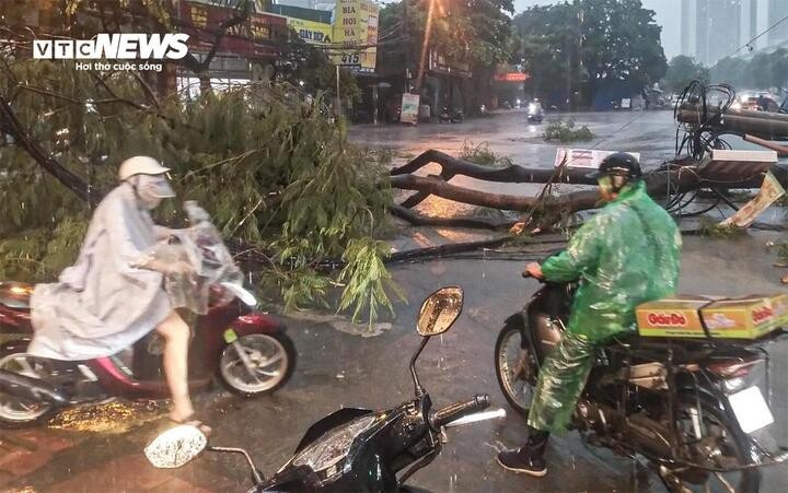 canh bao ung pho bao so 12 tat ca cac tinh tu quang ninh den lam dong trong trang thai san sang 68f5605651481