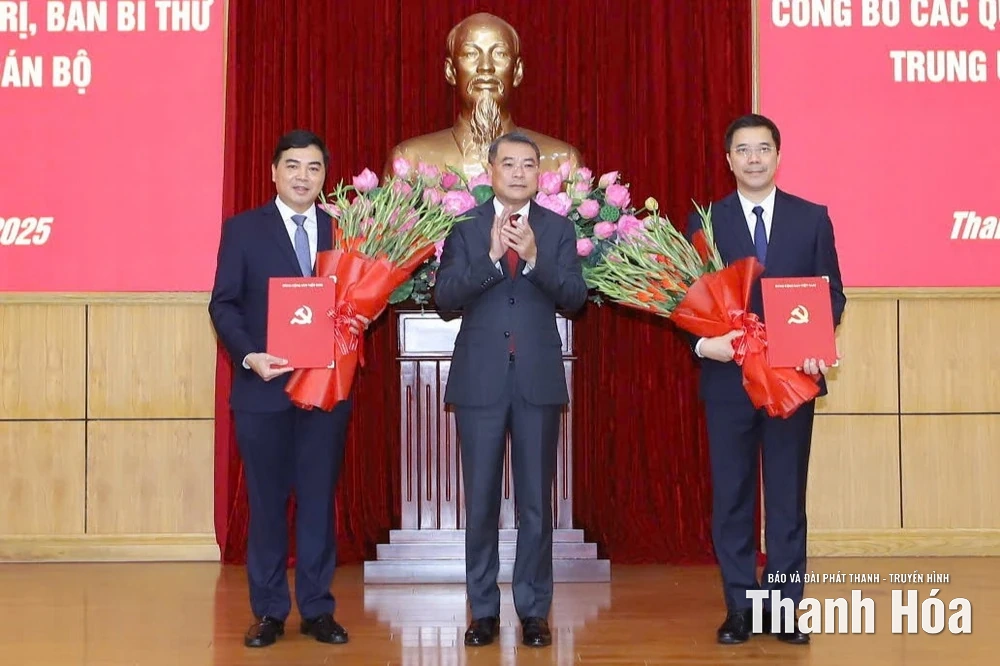 Quảng Ninh: Động Lực Mới Từ Ngành Công Nghiệp Ô Tô