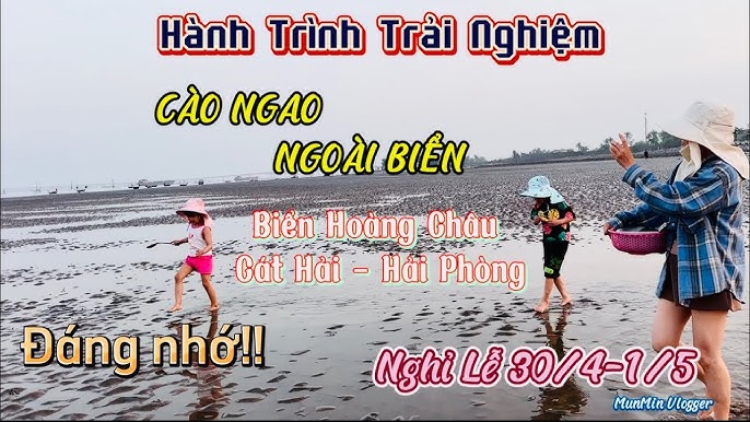 binh lieu diem den tuyet dep cua quang ninh mua co lau 690e6c96e8363