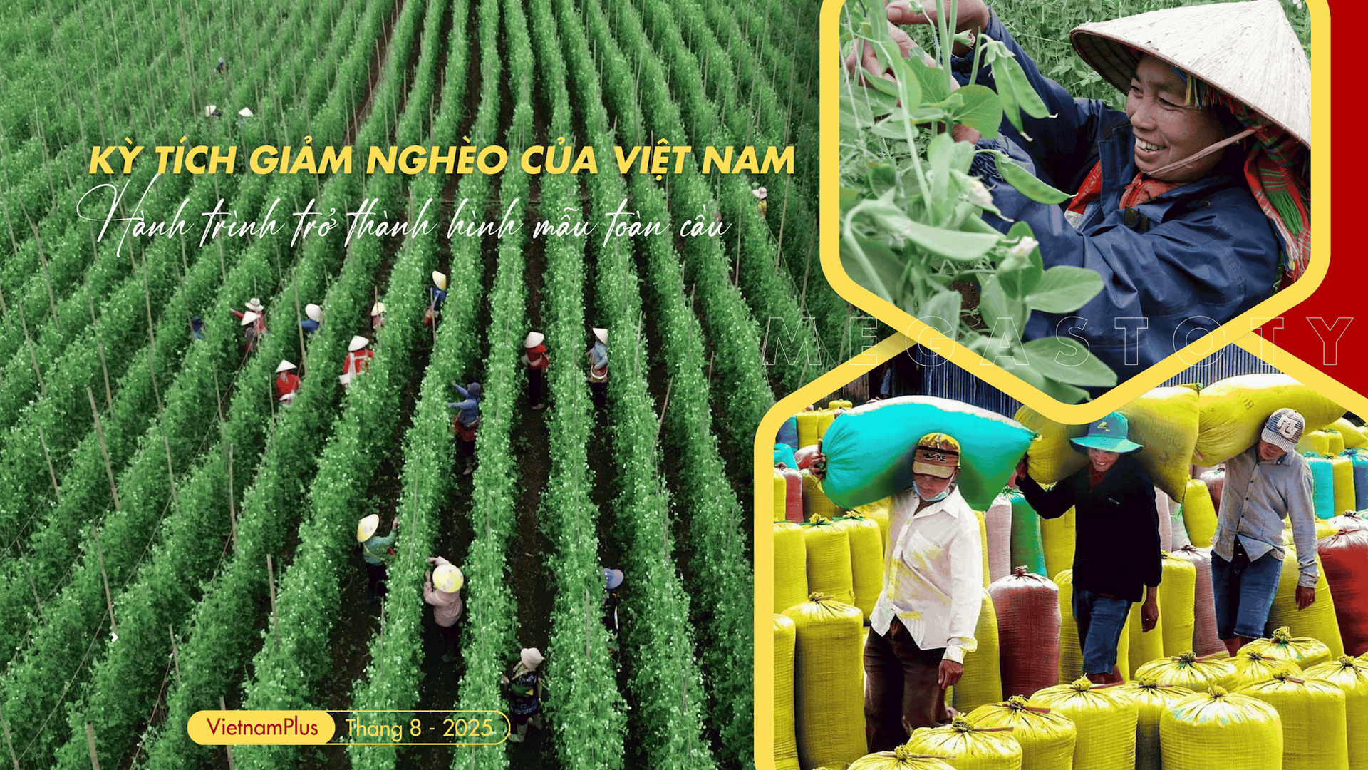 quang ninh dot pha trong giam ngheo ben vung va nang cao chat luong y te 6907d51ed08b3