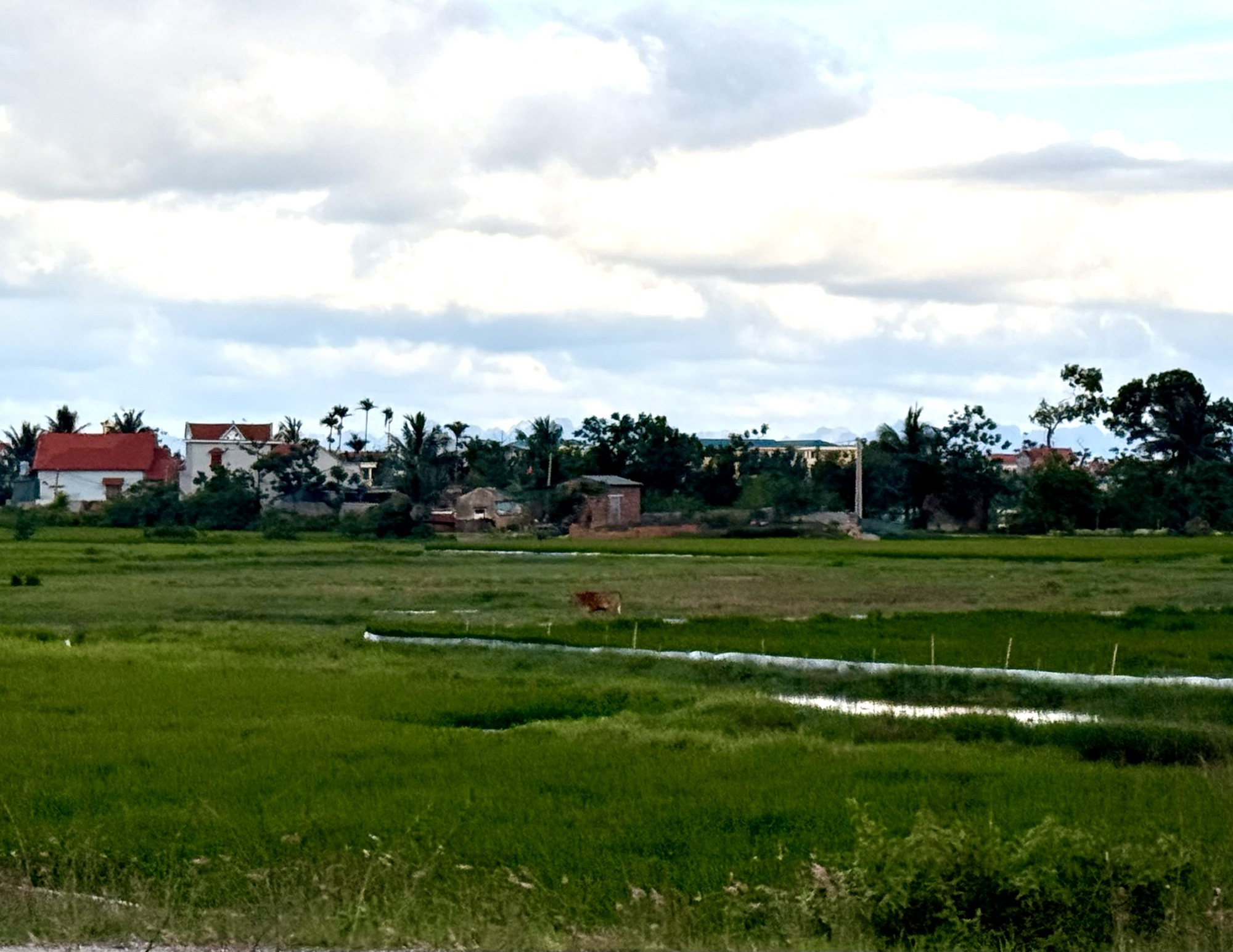 Quảng Ninh Tích Cực Tháo Gỡ Vướng Mắc Thủ Tục Đất Đai Cho Ngành Than 2 Quảng Ninh Tích Cực Tháo Gỡ Vướng Mắc Thủ Tục Đất Đai Cho Ngành Than