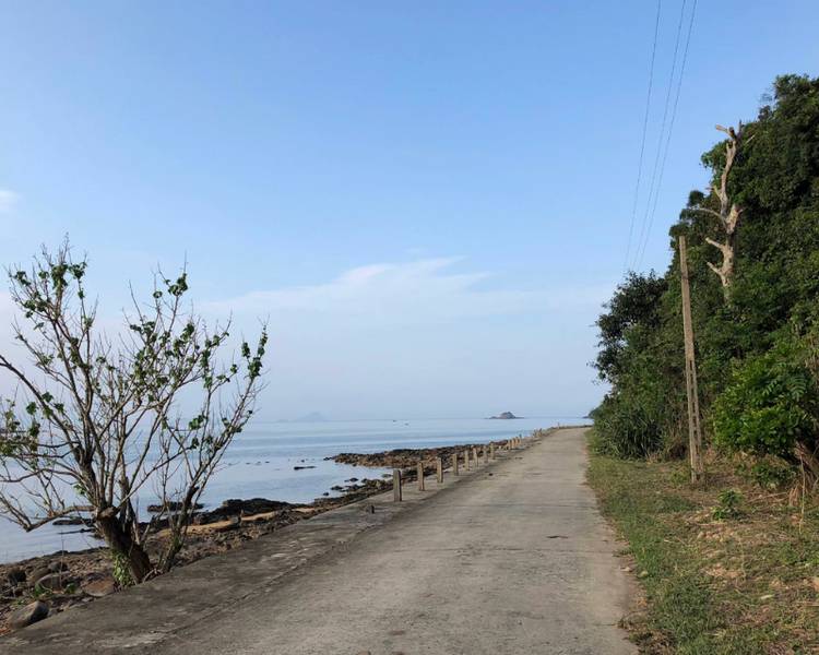 nghe thuat kham pha dao thanh lan noi thien nhien giao thoa van hoa 694f459a50bca